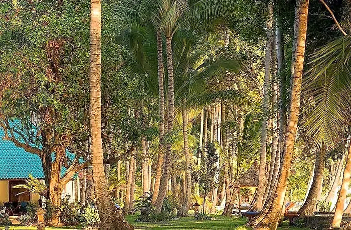 Hotel Gaia Oasis Tejakula