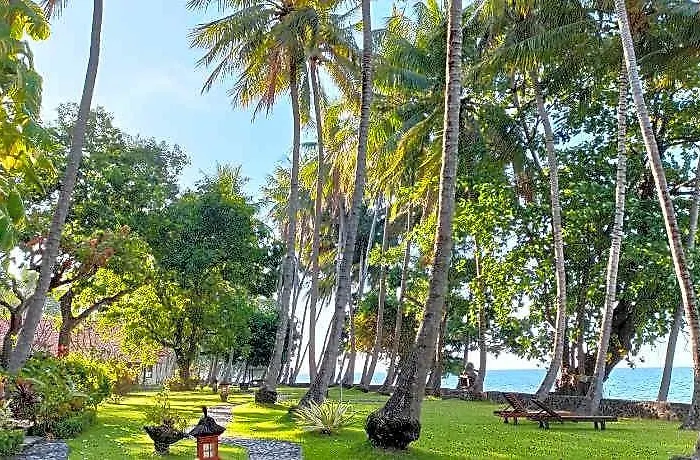 Gaia Oasis 3* Tejakula