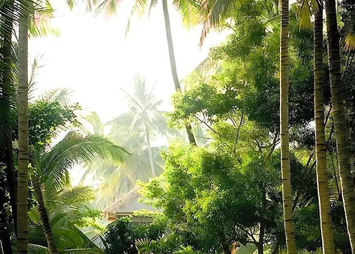 Hotel Gaia Oasis